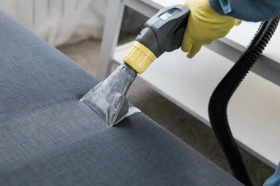 Professional sofa cleaning service